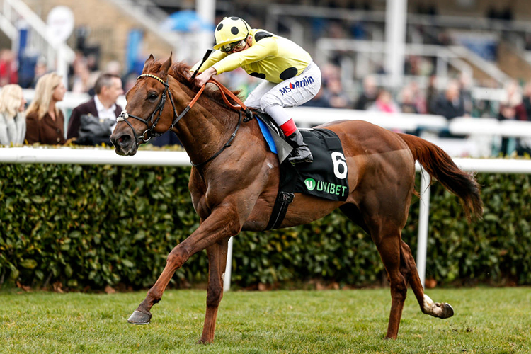 Zabeel Prince Zabeel Prince