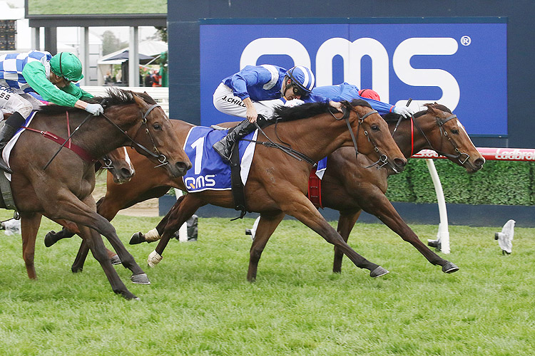 Zizzis winning the Qms Media Plate Zizzis winning the Qms Media Plate