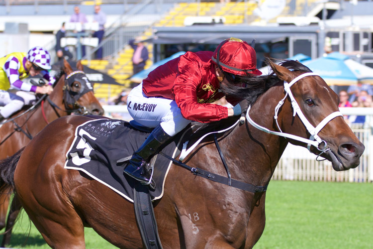Zousain lines up with a terrific chance in the Coolmore Stud Stakes