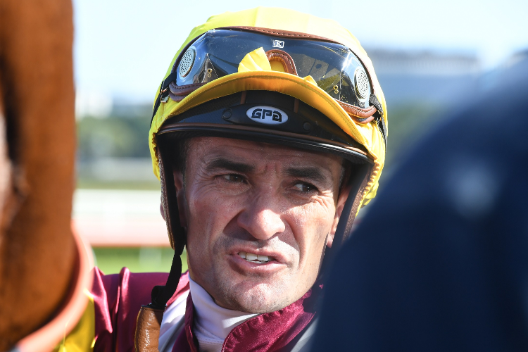 Jockey : COREY BROWN Jockey : COREY BROWN