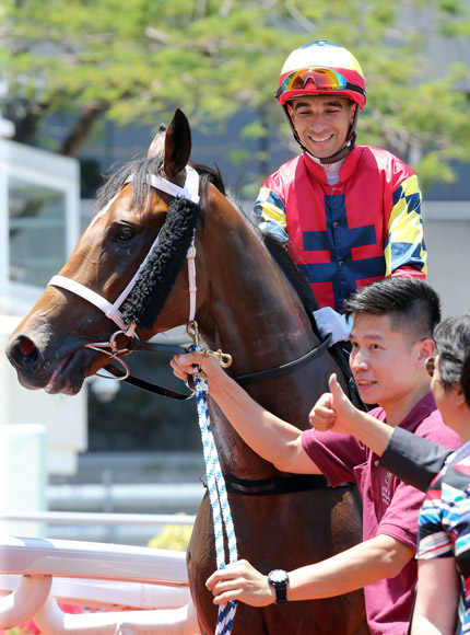 Lightning Steed is a top rater at Happy Valley.