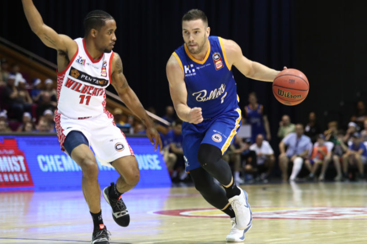 ADAM GIBSON of the Bullets takes the ball up during the NBL match between the Brisbane Bullets and the Perth Wildcats at Brisbane Convention & Exhibition Centre in Brisbane, Australia. ADAM GIBSON of the Bullets takes the ball up during the NBL match between the Brisbane Bullets and the Perth Wildcats at Brisbane Convention & Exhibition Centre in Brisbane, Australia.