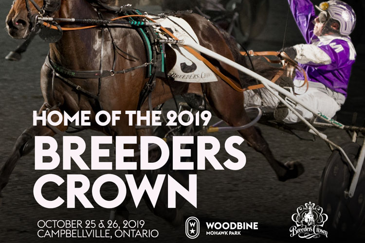 Breeders Crown - 2019 Breeders Crown - 2019