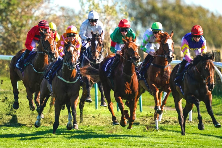 A general view of runners at Brighton Racecourse in England.