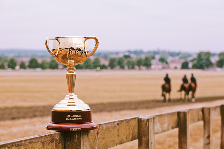 The Lexus Melbourne Cup Trophy