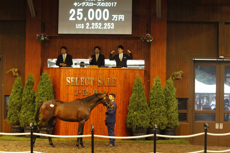 Kings Rose sale-topping colt by Deep Impact Kings Rose sale-topping colt by Deep Impact