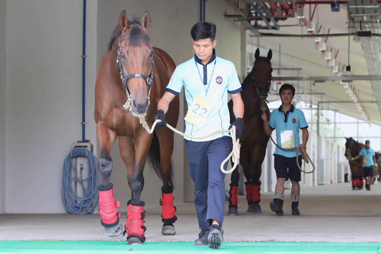 A total of 21 in-training horses arrive at Conghua Training Centre this morning. A total of 21 in-training horses arrive at Conghua Training Centre this morning.