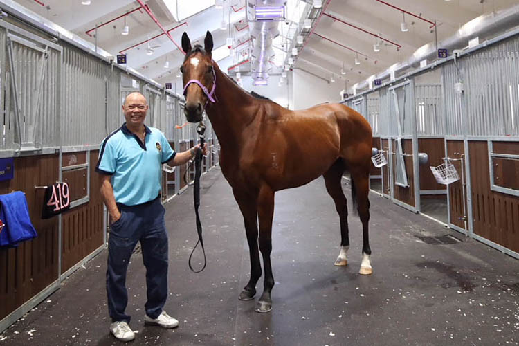 Trainer Chris So with G3-placed sprinter Fabulous One in his new stables in Conghua. Trainer Chris So with G3-placed sprinter Fabulous One in his new stables in Conghua.
