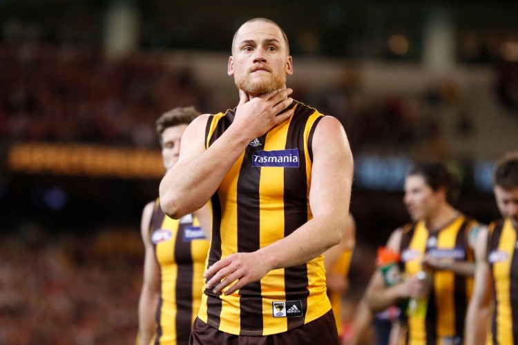 JARRYD ROUGHEAD of the Hawks looks dejected after a loss during the AFL match between the Hawthorn Hawks and the Melbourne Demons at the MCG in Melbourne, Australia.