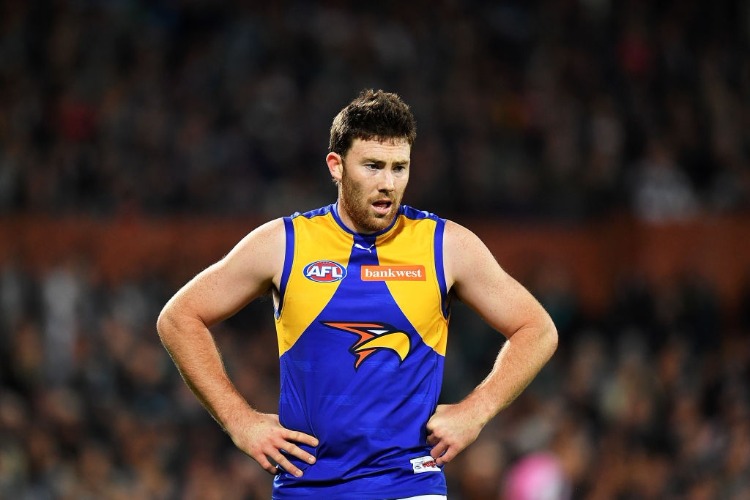 JEREMY MCGOVERN of the Eagles looks on during the AFL First Elimination Final match between Port Adelaide Power and West Coast Eagles at Adelaide Oval in Adelaide, Australia.