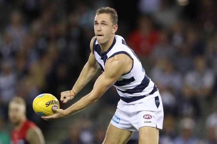 JOEL SELWOOD of the Cats runs with the ball during the AFL match between the Geelong Cats and the Melbourne Demons at Etihad Stadium in Melbourne, Australia.