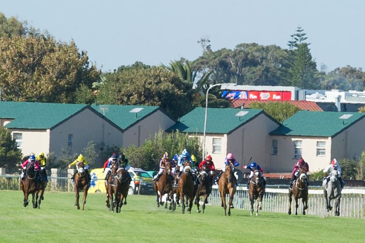 Racecourse : Kenilworth (South Africa).