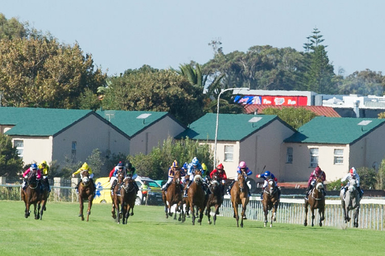 Racecourse : Kenilworth (South Africa)