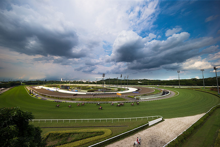 Racecourse : Kranji.