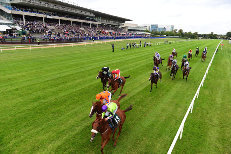 Leopardstown.