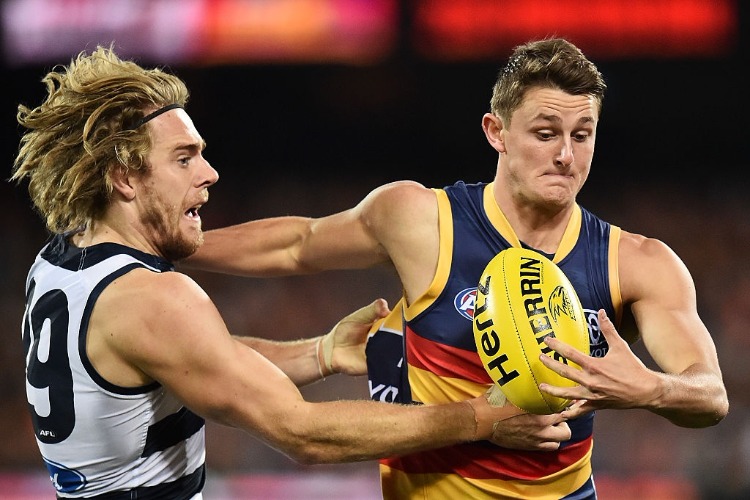 The Crows are facing a bleak few months