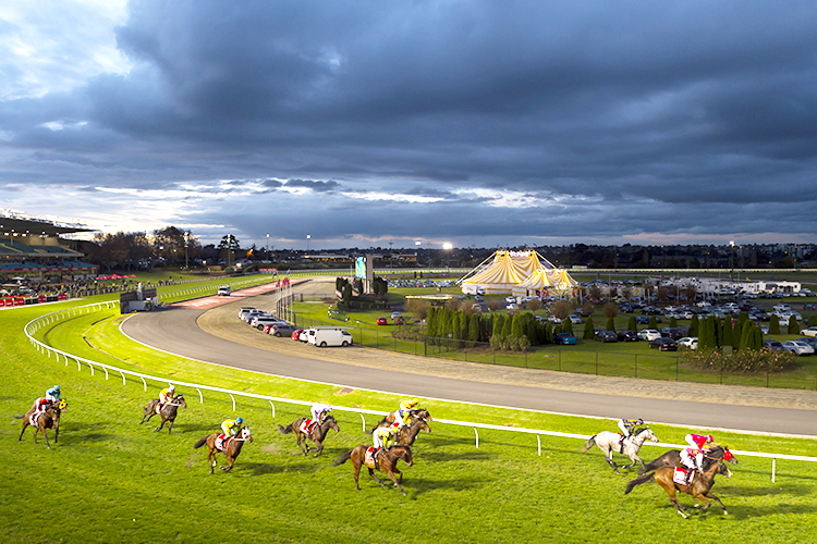 Night racing at Moonee Valley