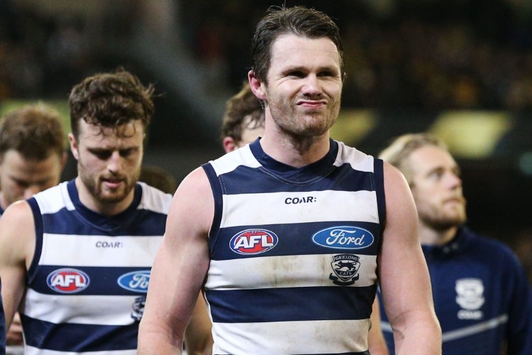 PATRICK DANGERFIELD of the Cats.