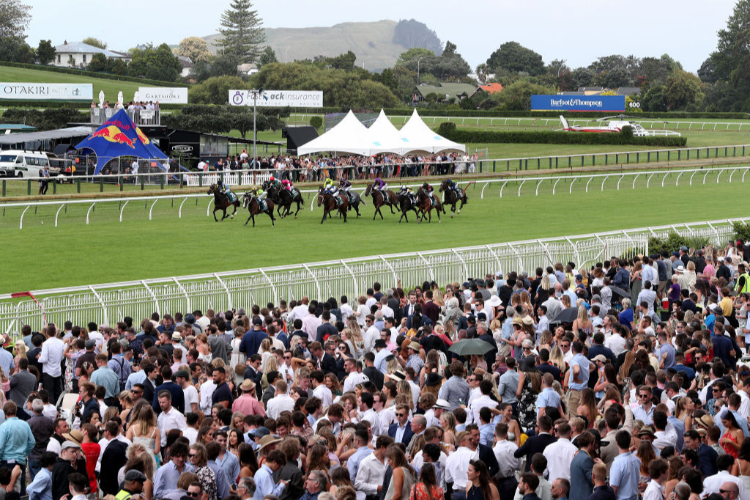 Ladbrokes Blog 2024 Auckland Cup Day Preview Sky Racing World Sky