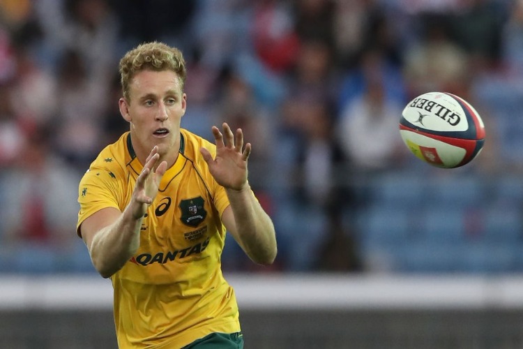 REECE HODGE of Autralia catches the ball during the rugby union international match between Japan and Australia Wallabies at Nissan Stadium in Yokohama, Kanagawa, Japan. REECE HODGE of Autralia catches the ball during the rugby union international match between Japan and Australia Wallabies at Nissan Stadium in Yokohama, Kanagawa, Japan.