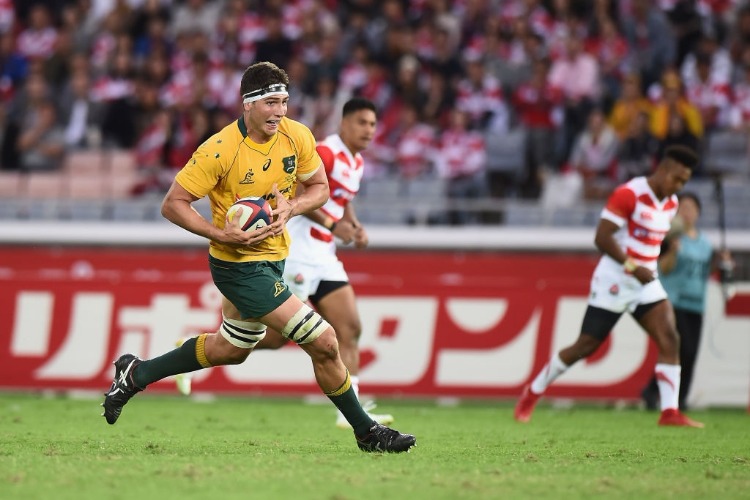 ROB SIMMONS of the Wallabies.