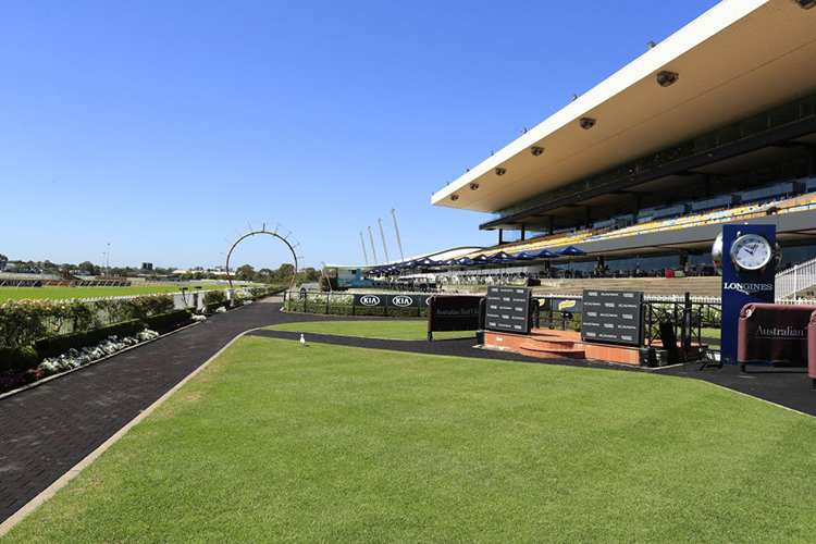 Racecourse : Rosehill Gardens.