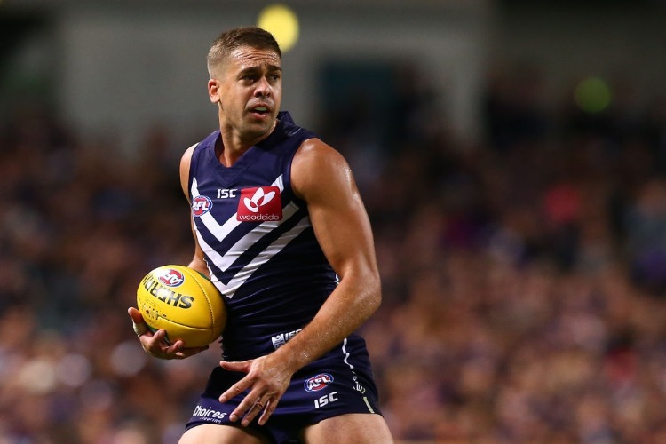 STEPHEN HILL of the Dockers looks to pass the ball during the AFL match between the Fremantle Dockers and the Western Bulldogs at Domain Stadium in Perth, Australia.