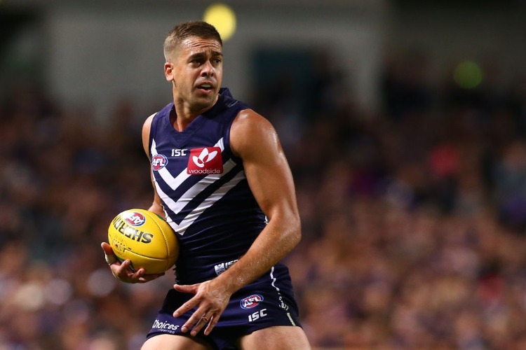 STEPHEN HILL of the Dockers looks to pass the ball during the AFL match between the Fremantle Dockers and the Western Bulldogs at Domain Stadium in Perth, Australia. STEPHEN HILL of the Dockers looks to pass the ball during the AFL match between the Fremantle Dockers and the Western Bulldogs at Domain Stadium in Perth, Australia.