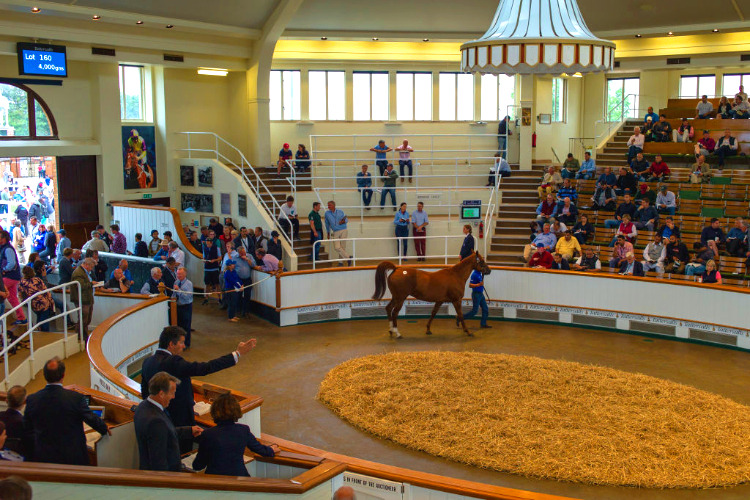 Tattersalls Newmarket