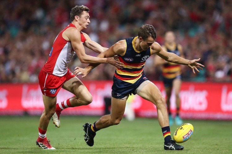 TOM DOEDEE of the Crows contests the ball WILL HAYWARD of the Swans during the AFL match between the Sydney Swans and the Adelaide Crows at SCG in Sydney, Australia.