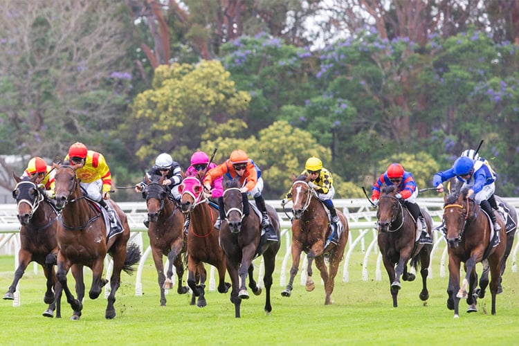 A general view of runners at Warwick Farm in Australia.