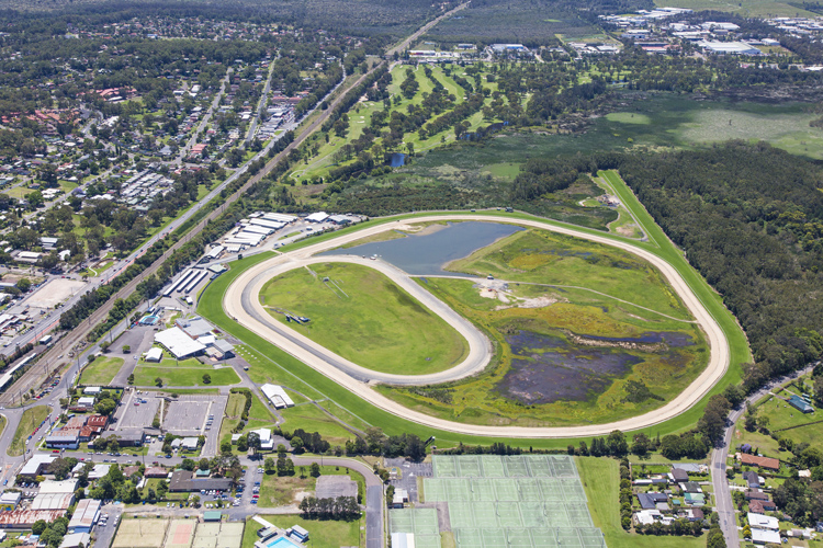 Wyong Wyong