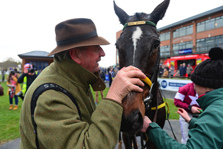 Trainer : NOEL MEADE Trainer : NOEL MEADE