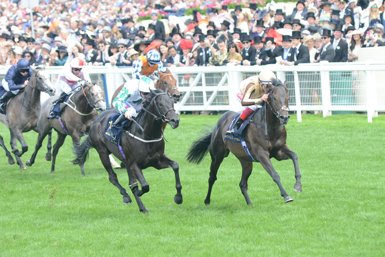 A'ali winning the Norfolk Stakes (Group 2)