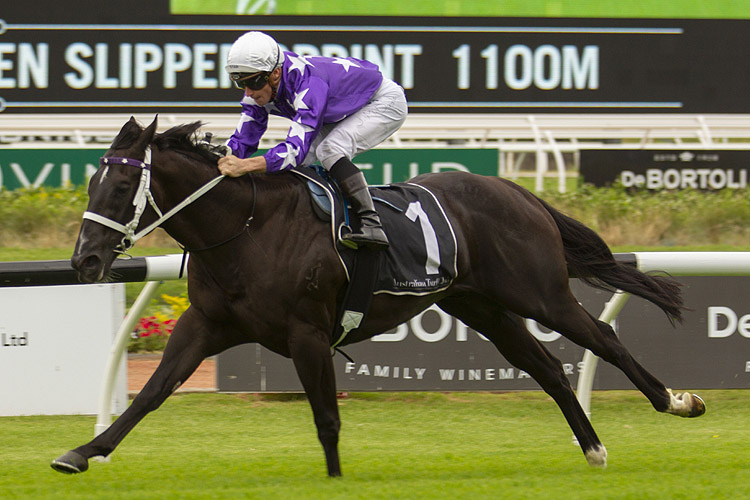 Accession winning the Countdown To Golden Slipper