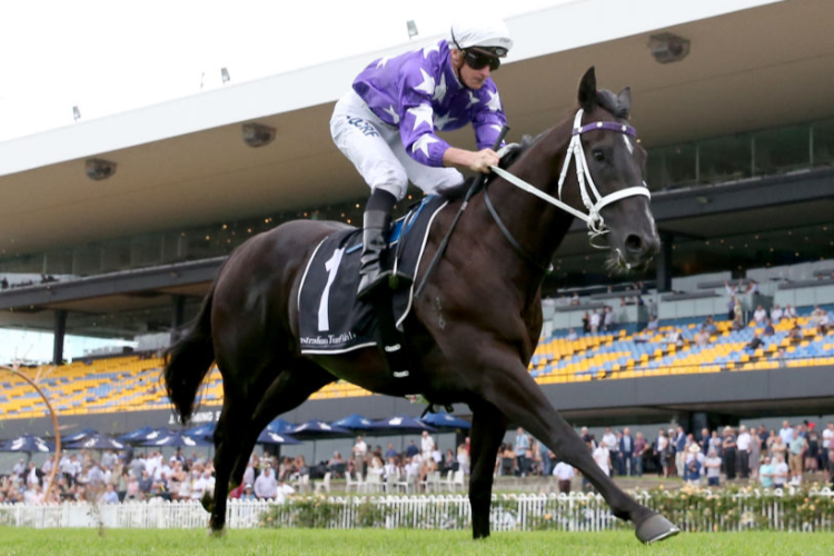 Accession a big hope in the G1