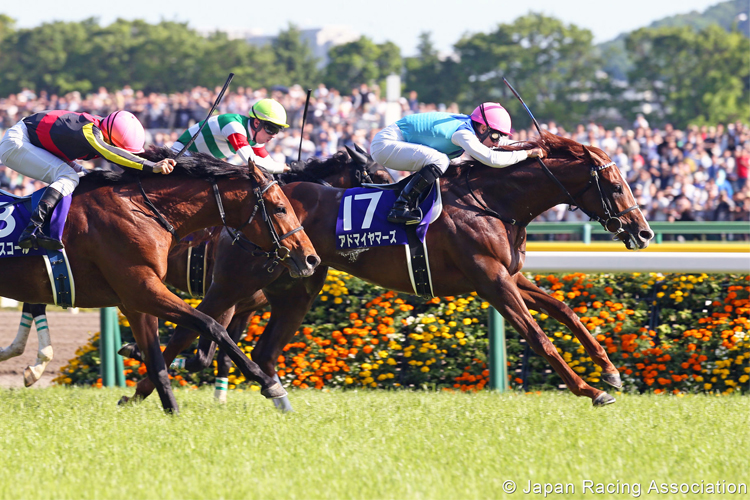 ADMIRE MARS winning the NHK Mile Cup in Tokyo, Japan.