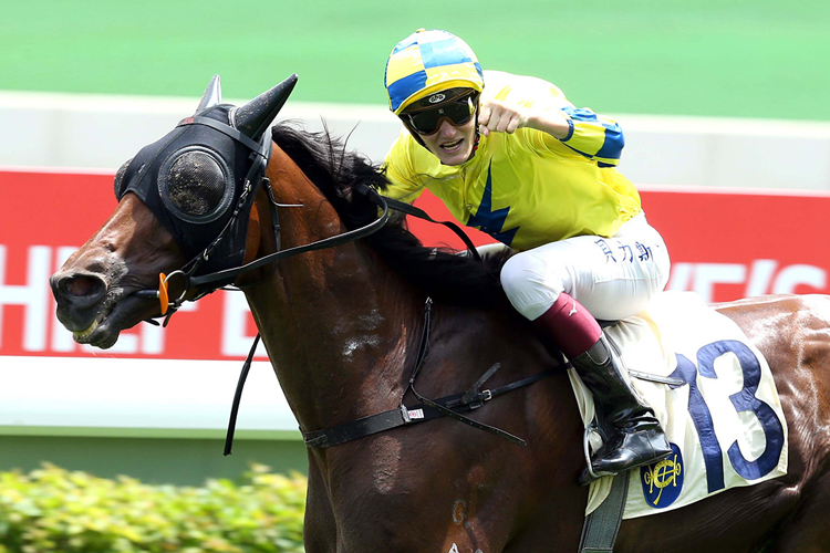 Adonis is a top-rater at Sha Tin on Saturday.