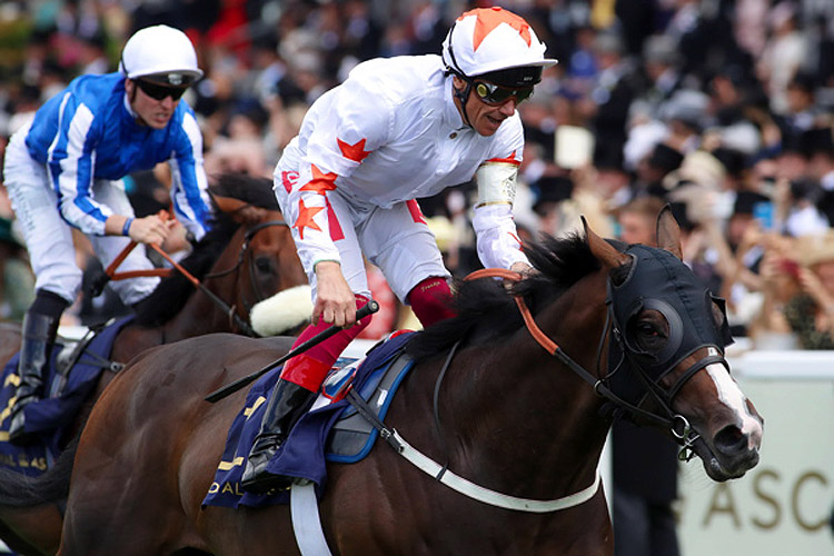 Advertise winning the Commonwealth Cup (Group 1)