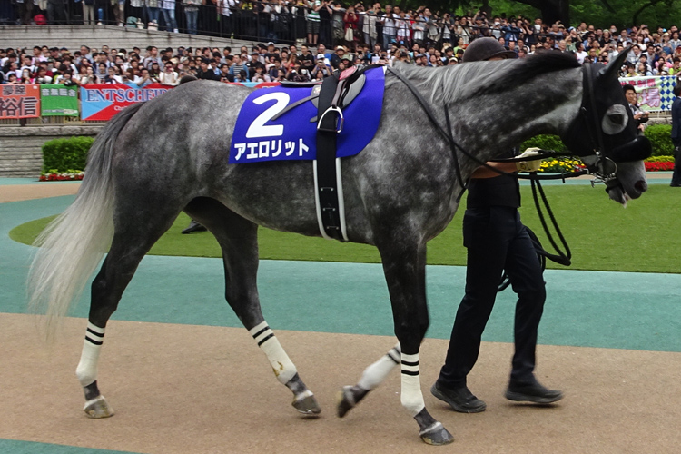 Aerolithe, second 2019 Yasuda Kinen