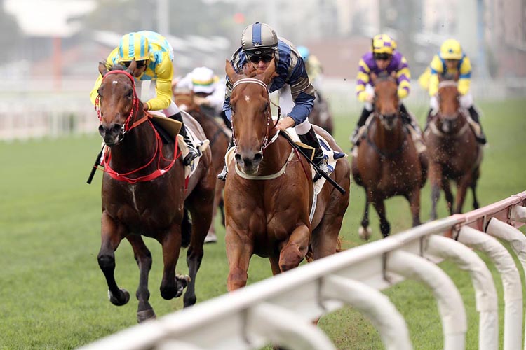 Aethero winning the Amber Griffin Race Aethero winning the Amber Griffin Race