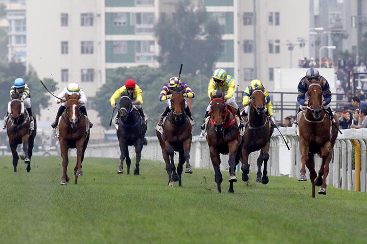 Aethero winning the Amber Griffin Race Aethero winning the Amber Griffin Race