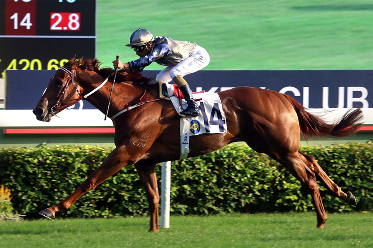 Aethero winning the The Jockey Club Sprint