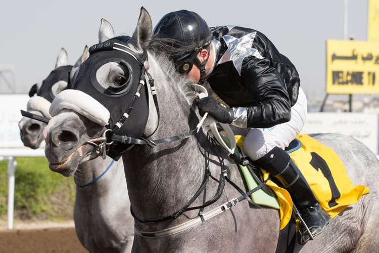 Af Al Jahed winning the Al Sahel Contracting Company LLC Af Al Jahed winning the Al Sahel Contracting Company LLC