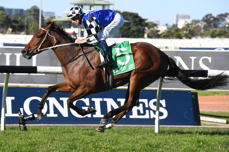 AGENT PIPPA winning the Atc Foundation Handicap