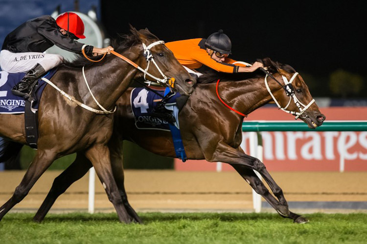 Ajwad winning the Nad Al Sheba Classic Presented By Longines V H P Collection