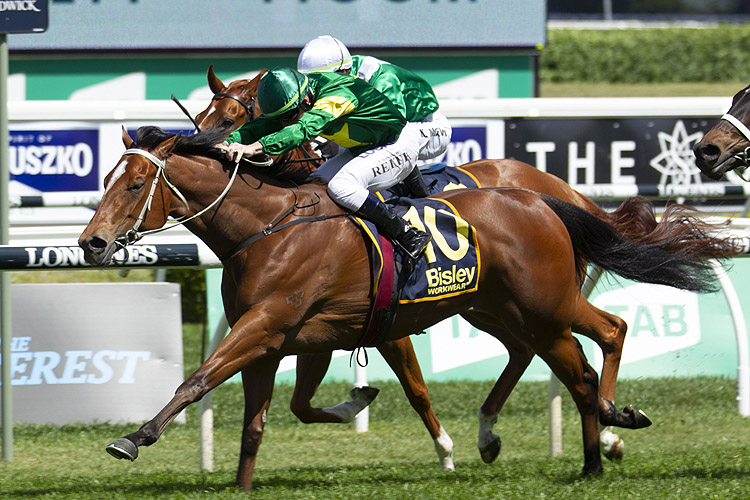 Akari winning at Randwick