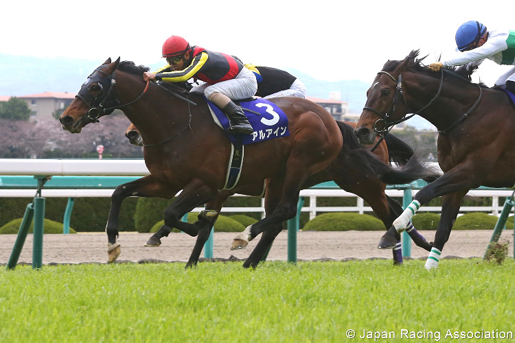 AL AIN winning the Osaka Hai at Hanshin in Japan.