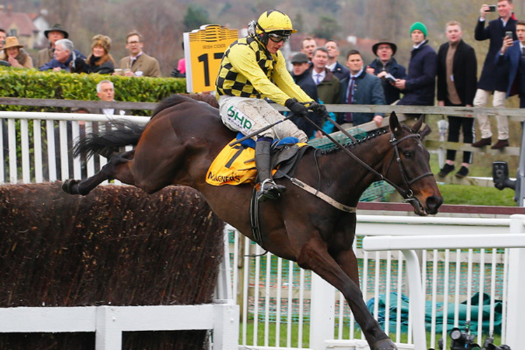 Al Boum Photo winning the Magners Cheltenham Gold Cup Chase (Grade 1)