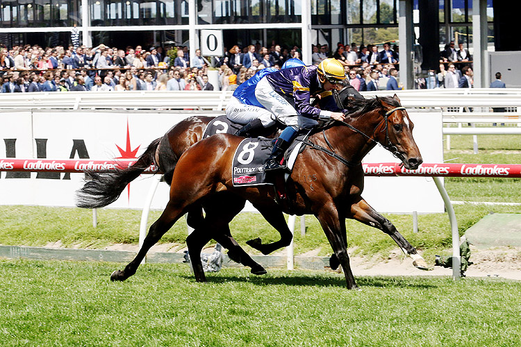 Alabama Express winning the Polytrack Gothic Stakes